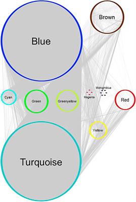 Similarities and Differences in Gene Expression Networks Between the Breast Cancer Cell Line Michigan Cancer Foundation-7 and Invasive Human Breast Cancer Tissues
